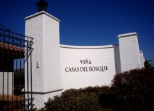 Viña Casas del Bosque