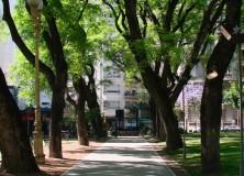 destacada
