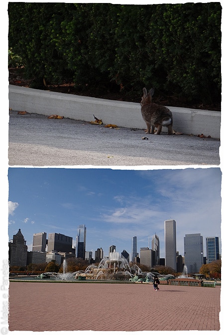 Chicago - Grant Park - Buckingham Fountain