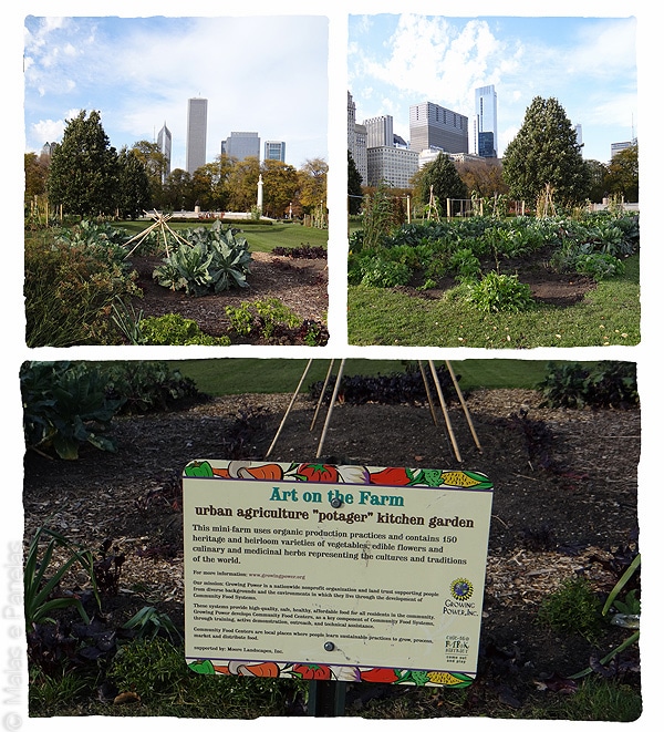 Chicago - Grant Park - Buckingham Fountain