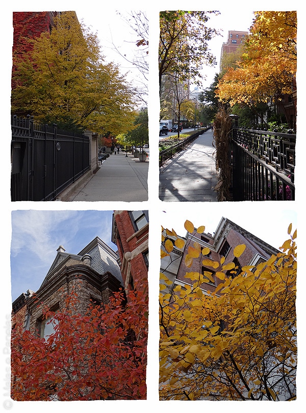 Chicago - Old Town - Gold Coast