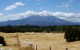 Marshmallow Fields