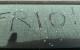 Frio Ann Arbor