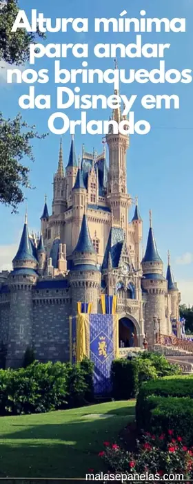 Altura mínima para andar nos brinquedos da Disney em Orlando | Malas e Panelas