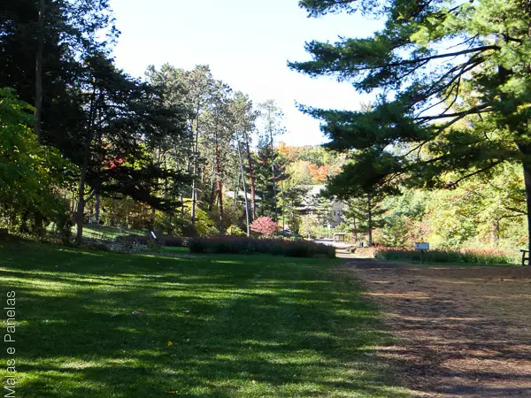 Ann Arbor Nichols Arboretum