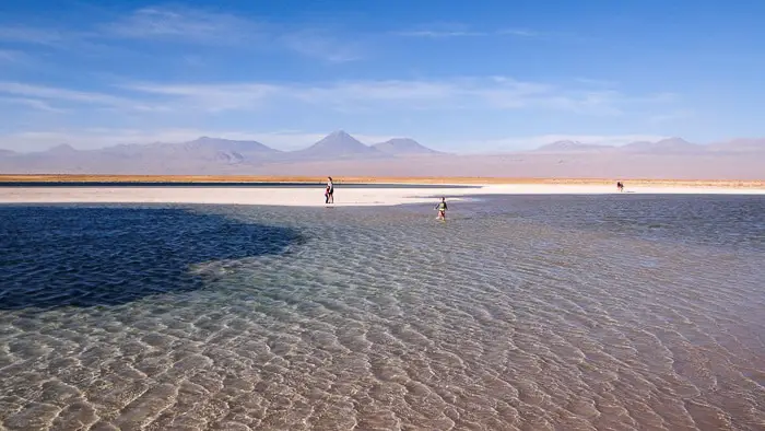 Atacama Laguna Cejar