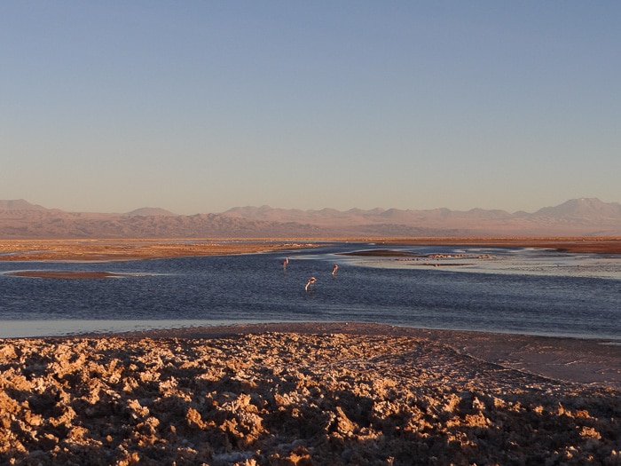 Salar de Atacama