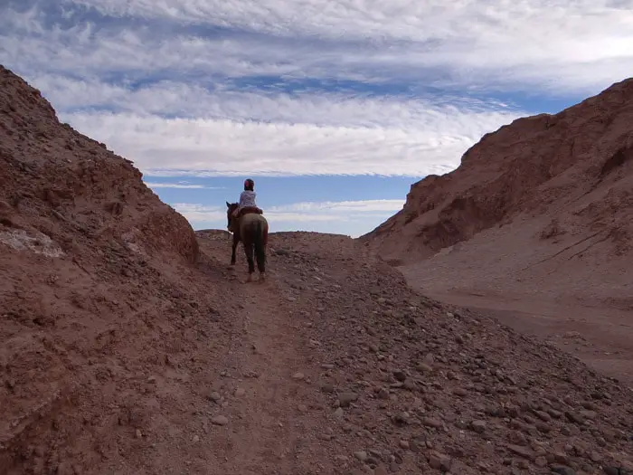 Cavalgada Atacama