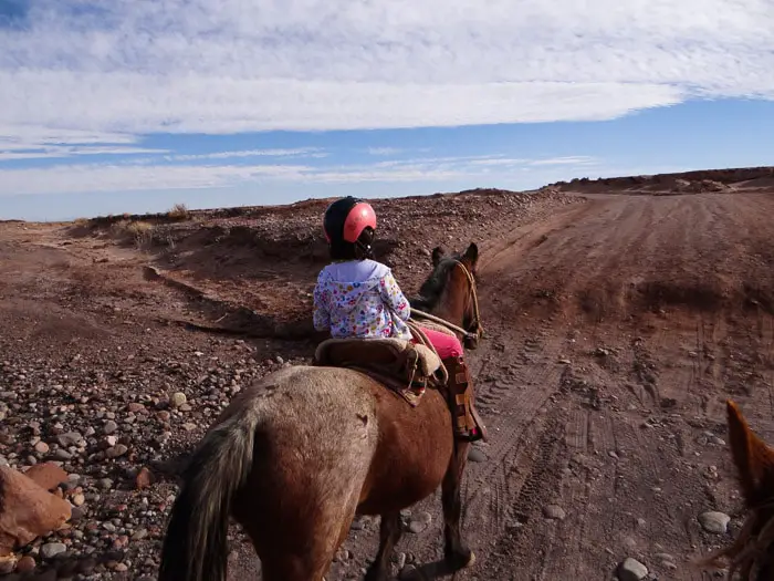 Cavalgada Atacama