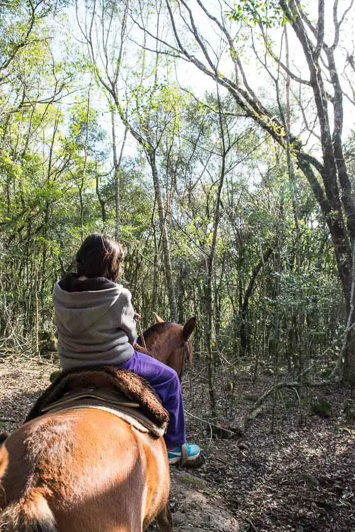 Sítio Tradição - Passeios a Cavalo em Gramado | Malas e Panelas