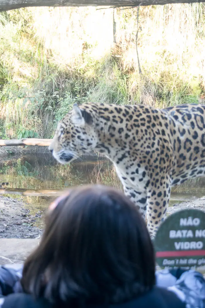 Gramado Zoo