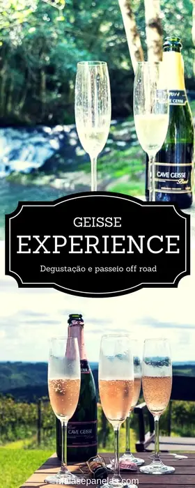 Geisse Experience | A degustação de espumantes mais radical da Serra Gaúcha | Malas e Panelas
