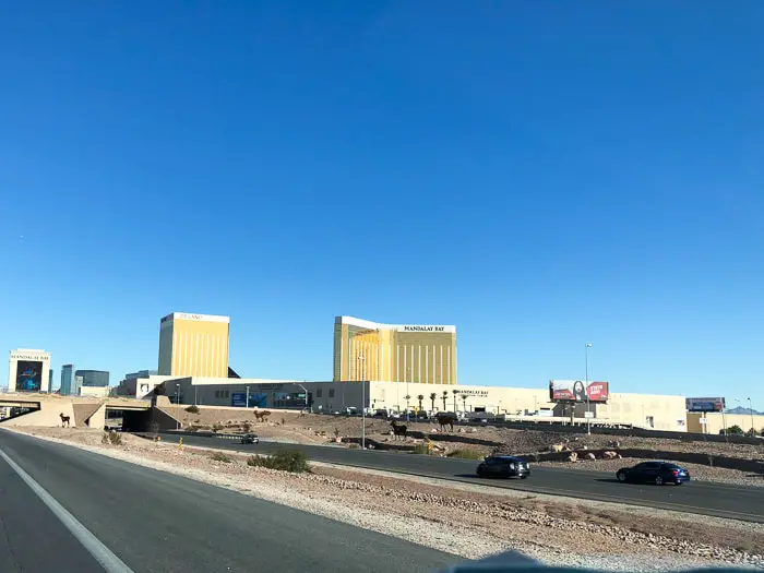 Estrada em Las Vegas