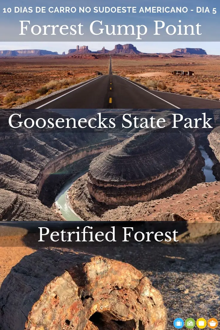 10 dias no sudoeste americano - Quinto dia: Monument Valley, Goosenecks e Petrified Forest | Malas e Panelas