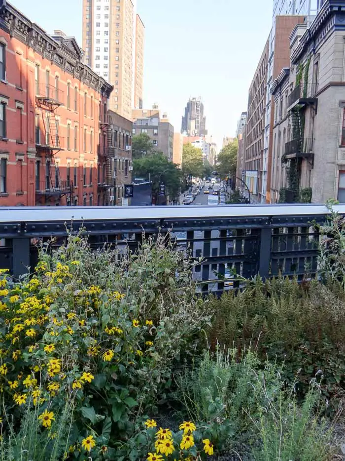 O que fazer em Nova York com Crianças - High Line