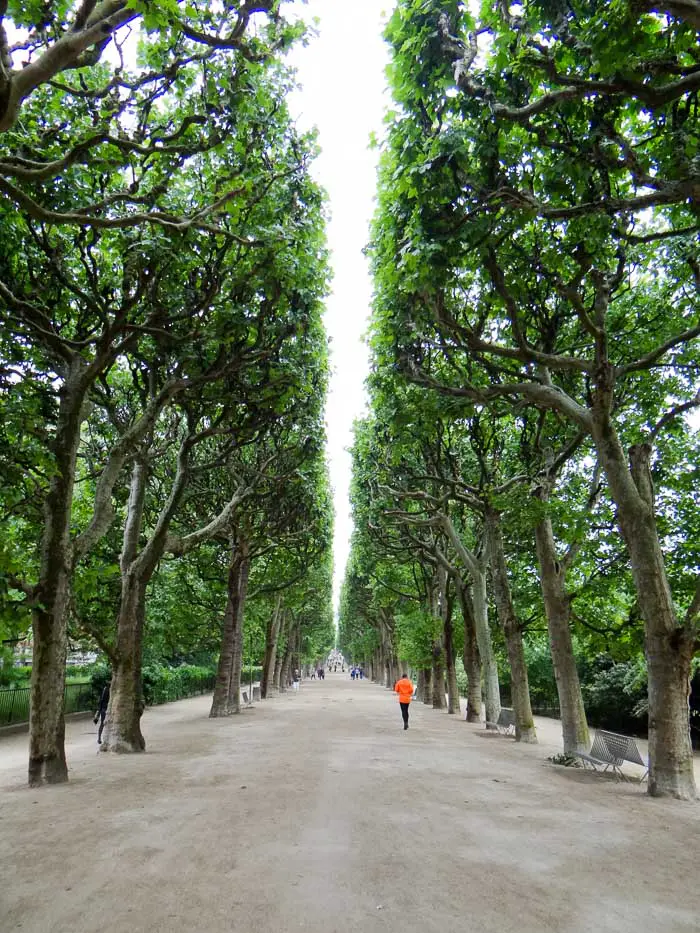 16 Lugares para Visitar em Paris | Jardin des Plantes | Malas e Panelas” width=