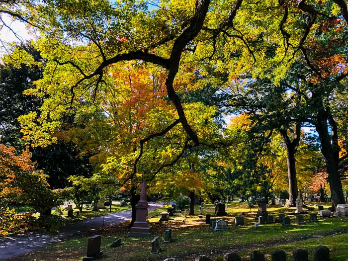 Maunt Alburn Cemetery - Boston