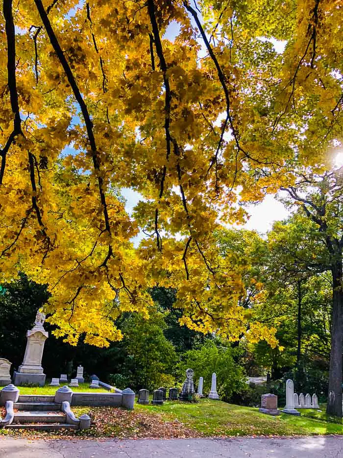 Maunt Alburn Cemetery - Boston