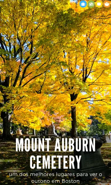 Mount Auburn Cemetery: um dos melhores lugares para ver o outono em Boston | Malas e Panelas